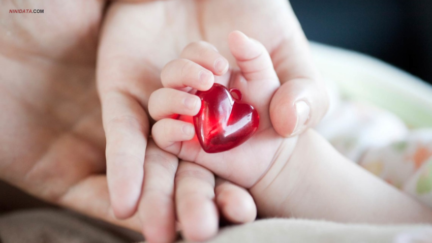 ninidata.com | کی به وجود بیماری قلبی در نوزادان و کودکان مشکوک شویم ؟؟؟؟