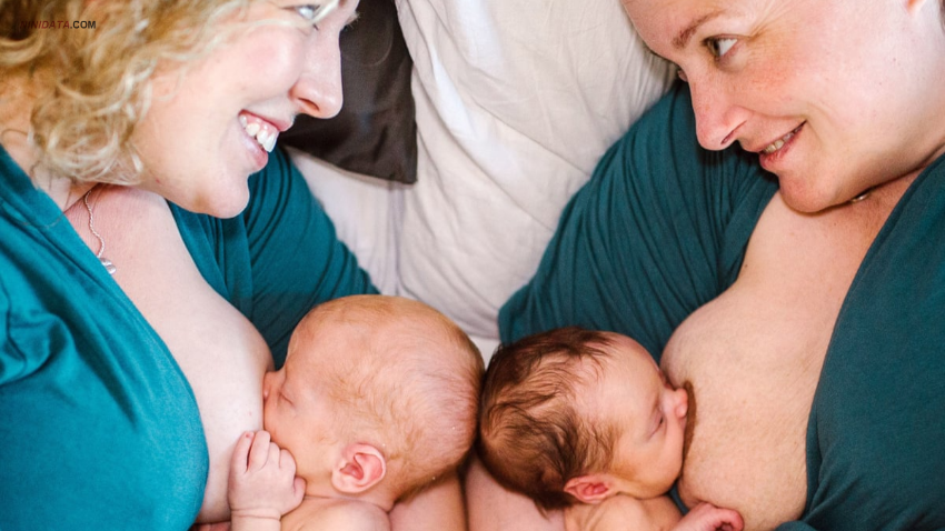 ninidata.com | راهکار های افزایش شیر مادر در بخش مراقبت ويژه نوزادان