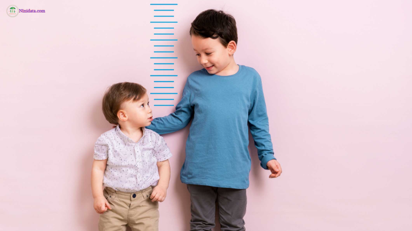 ninidata.com | بررسی رشدی کودکان با استفاده از منحنی های رشد