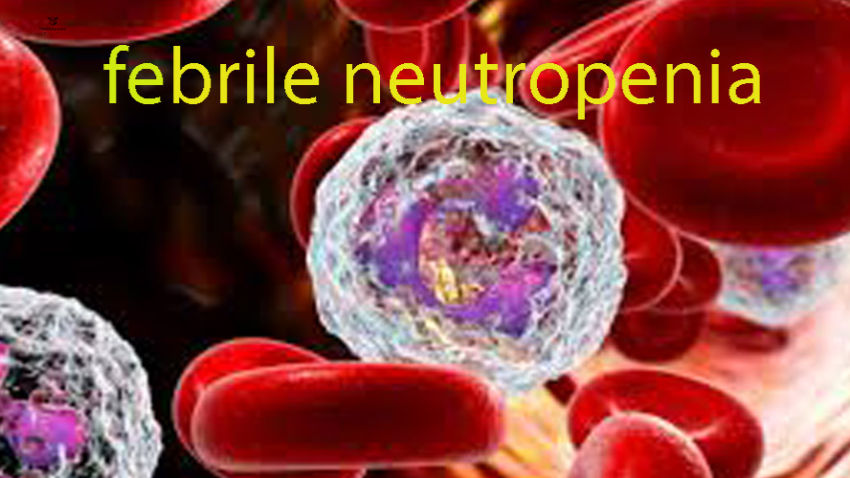 ninidata.com | مدیریت تب و نوتروپنی در کودکان سرطانی: راهنمای کامل درمان تجربی، تعدیل و پیشگیری